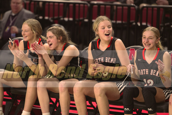 AX8I3944 bench cheer